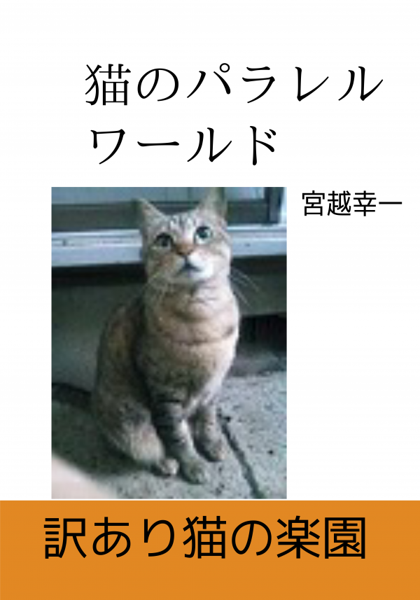 猫のパラレルワールド の表紙