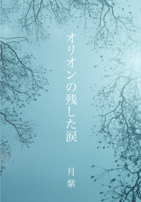 オリオンの残した涙 の表紙