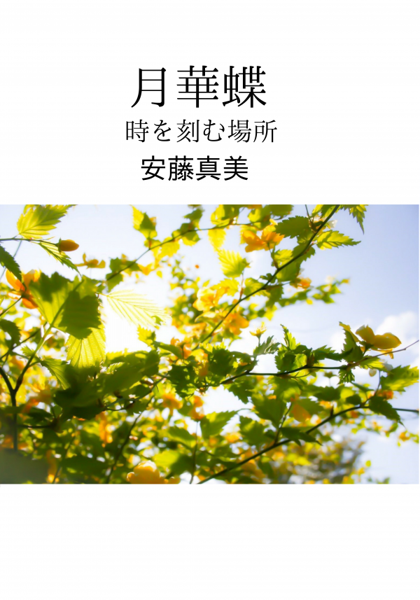 月華蝶 の表紙