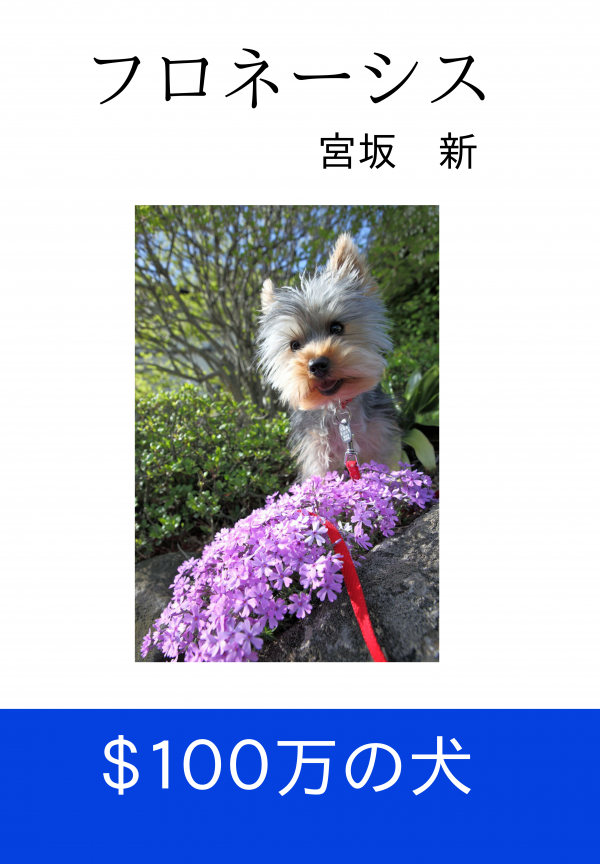 フロネーシス の表紙
