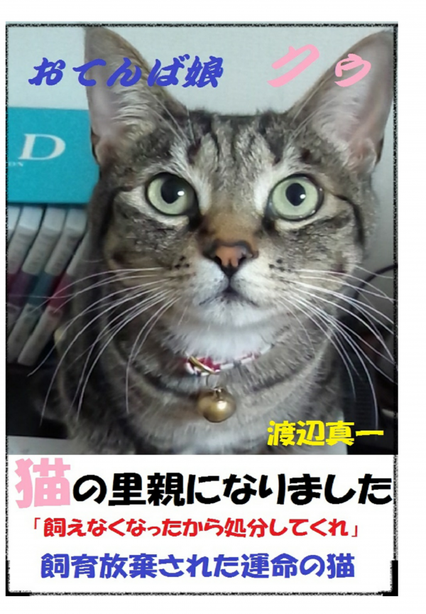 猫の里親になりました の表紙