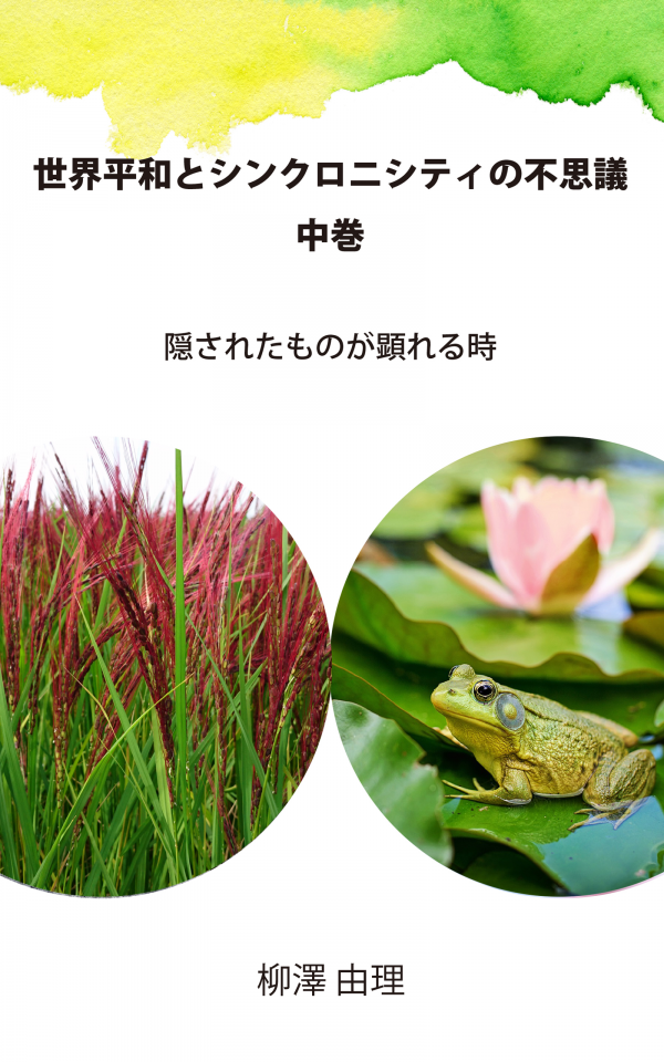 世界平和とシンクロニシティの不思議　中巻 の表紙