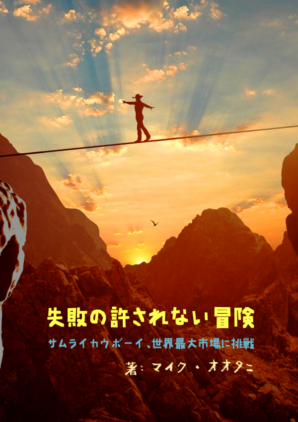 失敗の許されない冒険 の表紙
