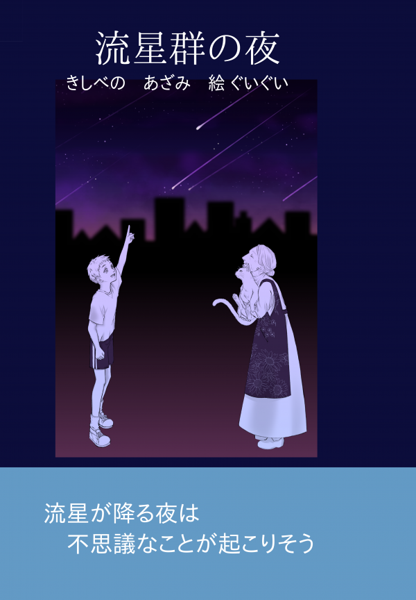 流星群の夜 の表紙