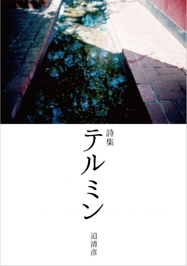 詩集 テルミン の表紙