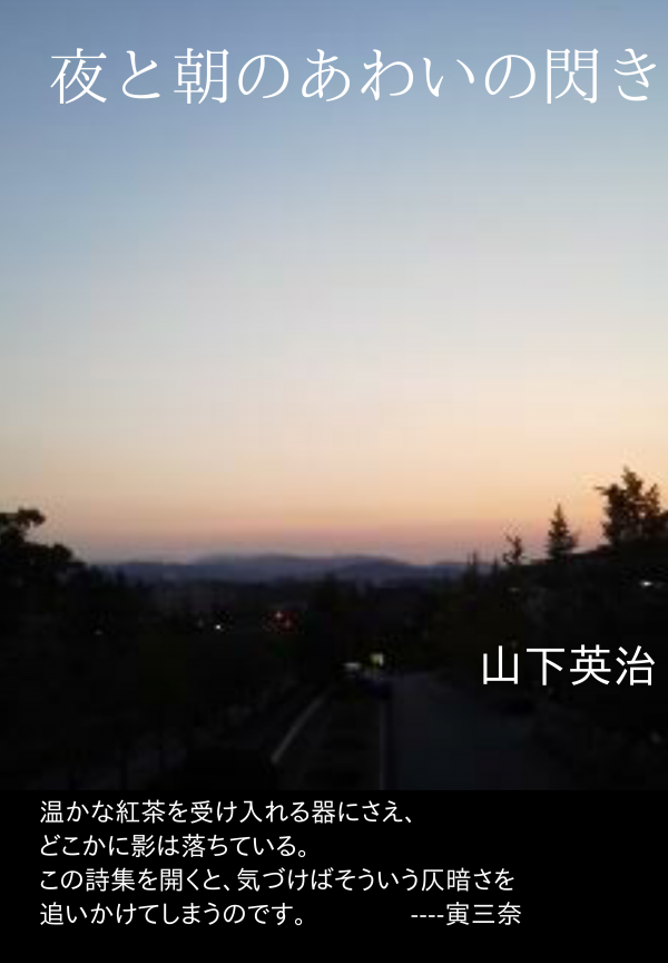 夜と朝のあわいの閃き の表紙