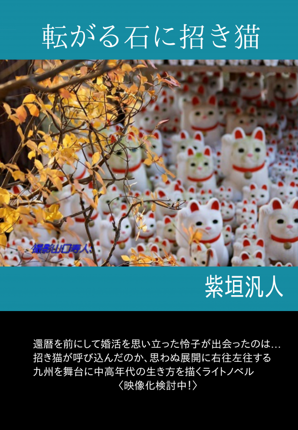 転がる石に招き猫 の表紙