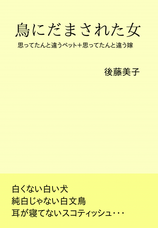 鳥にだまされた女 の表紙