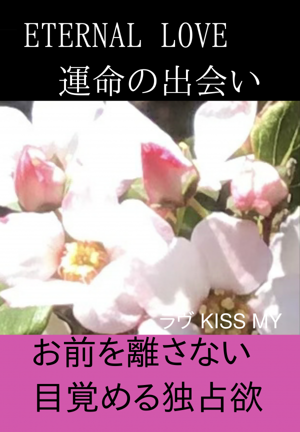 ETERNAL LOVE 運命の出会い の表紙