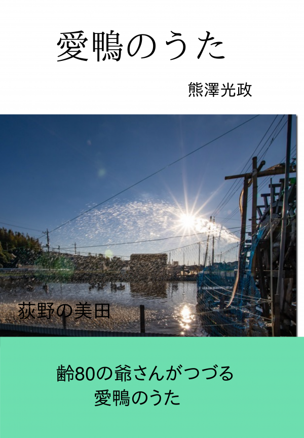 愛鴨のうた の表紙