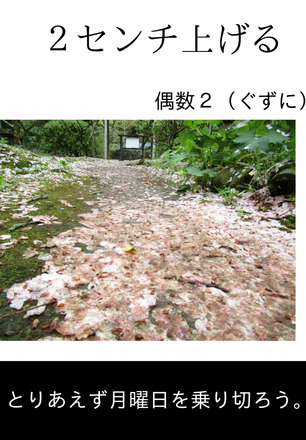 ２センチ上げる の表紙