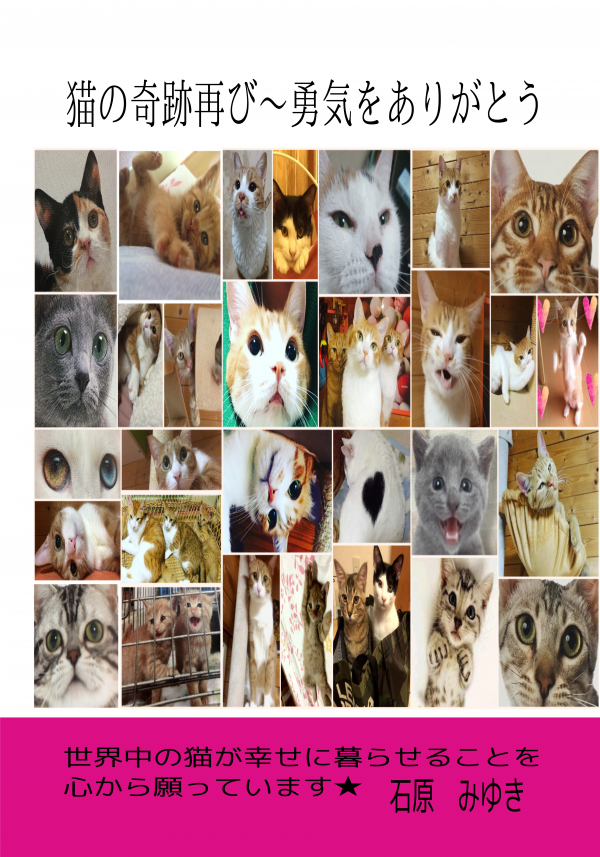猫の奇跡再び～勇気をありがとう の表紙